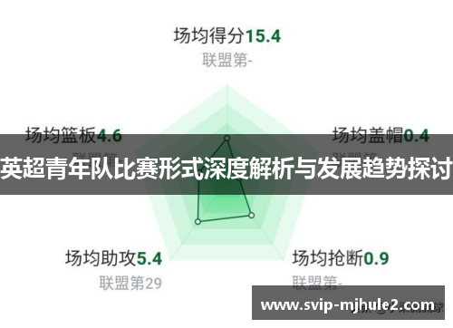 英超青年队比赛形式深度解析与发展趋势探讨 英超青年队比赛形式深度解析与发展趋势探讨